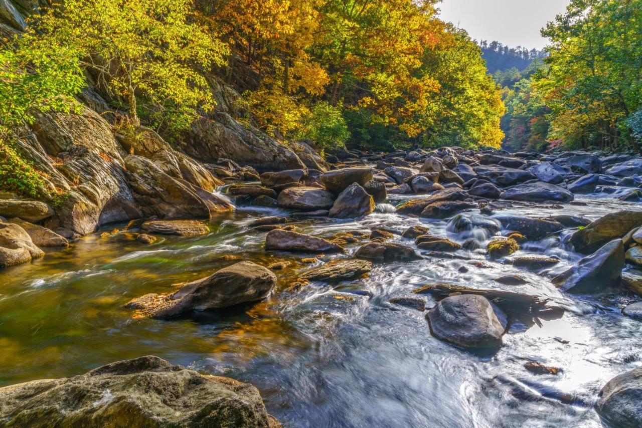 Whispering Pines 113 Διαμέρισμα Pigeon Forge Εξωτερικό φωτογραφία